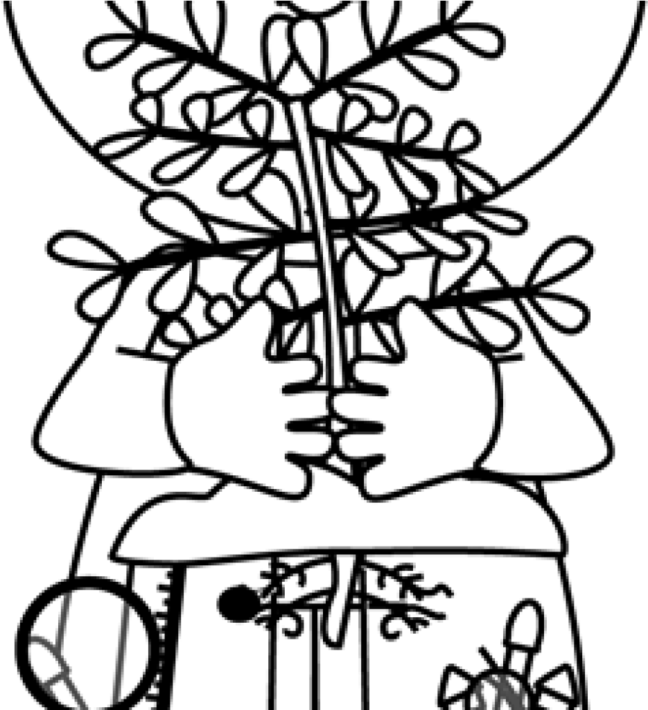 Transparent Clipboard Clipart Png - Science Plant Clip Art Black And White (935x1025), Png Download