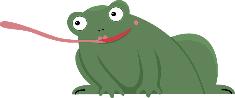 Frog Clipart - Cartoon - Png Download (800x336), Png Download