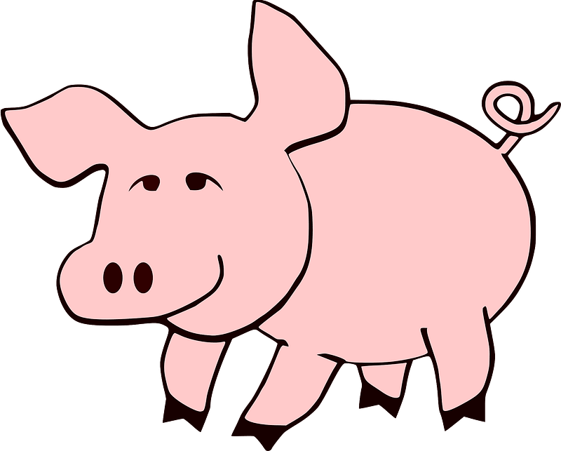 Pig Clipart - Pig Cartoon - Png Download (800x643), Png Download