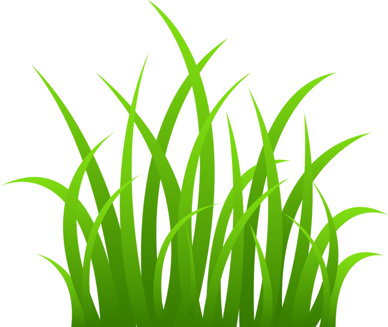 Transparent Background Grass Clipart - Png Download (640x480), Png Download