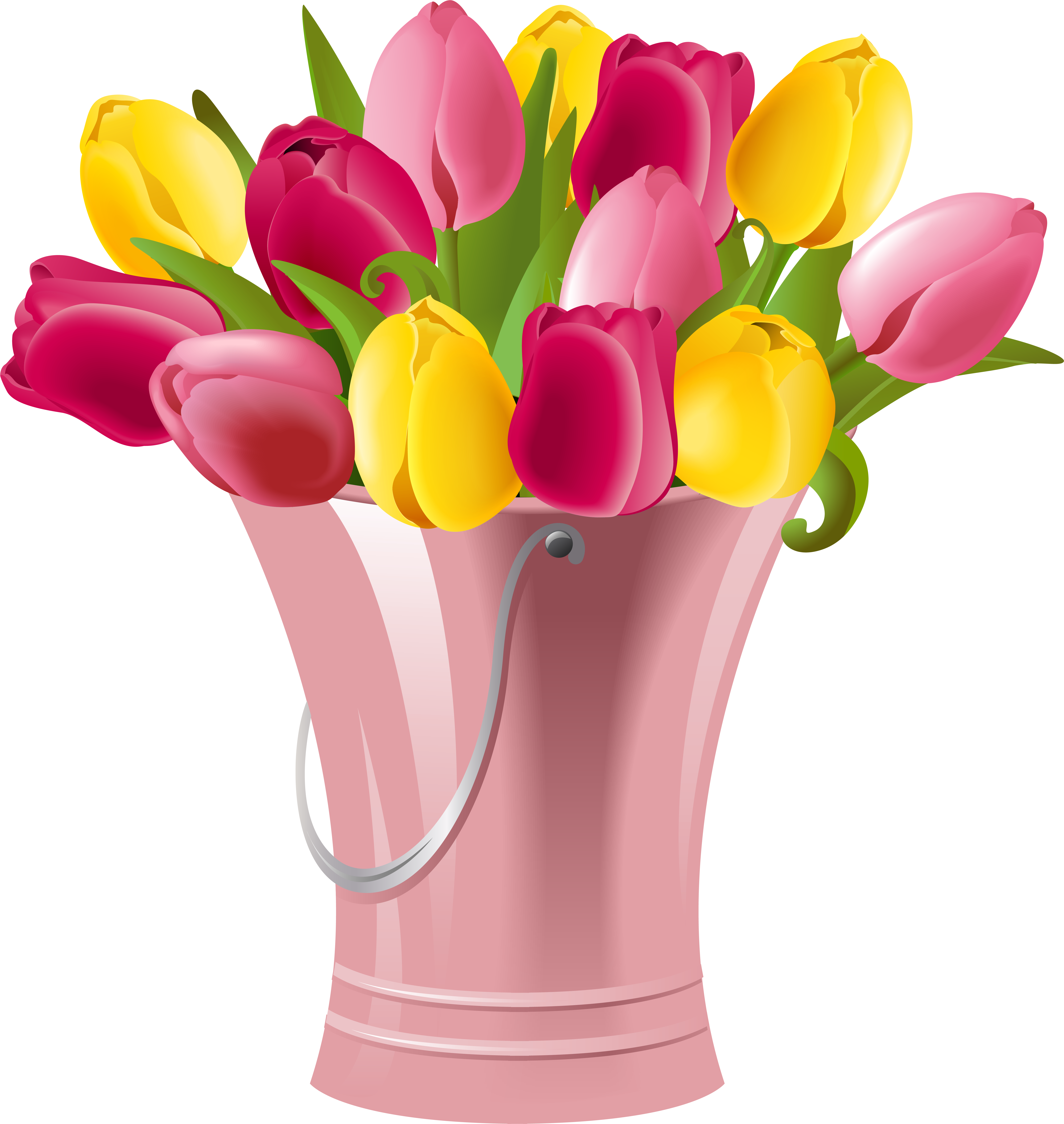 Free Transparent Spring Cliparts, Download Free Clip - Clip Art Tulips - Png Download (565x600), Png Download