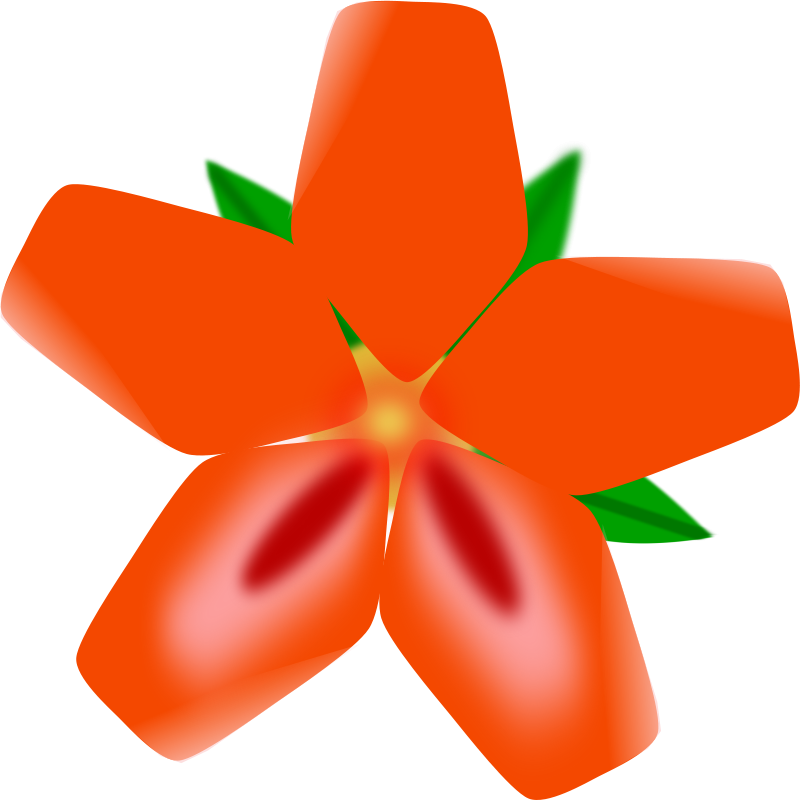 Transparent Red Flower Clipart - Spring Orange Flowers Clipart - Png Download (800x800), Png Download