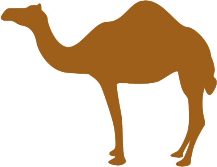 Tech Camel - Camel Clip Art Png Transparent Png (728x576), Png Download