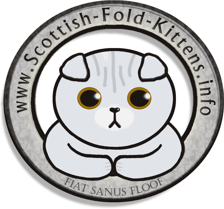 Scottish Fold Kittens Clipart (748x748), Png Download