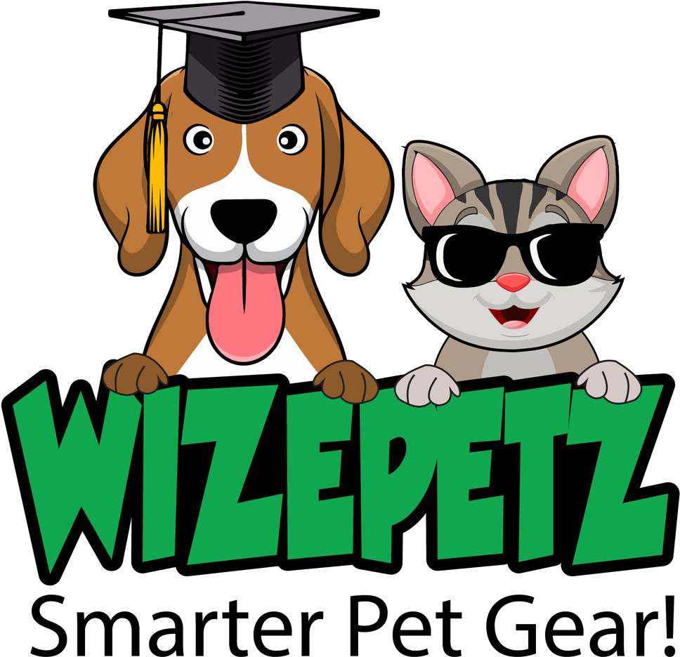 Cartoon Clipart (1700x1144), Png Download