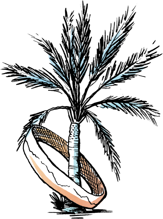 Coachella General Admission Tickets Clipart (708x823), Png Download