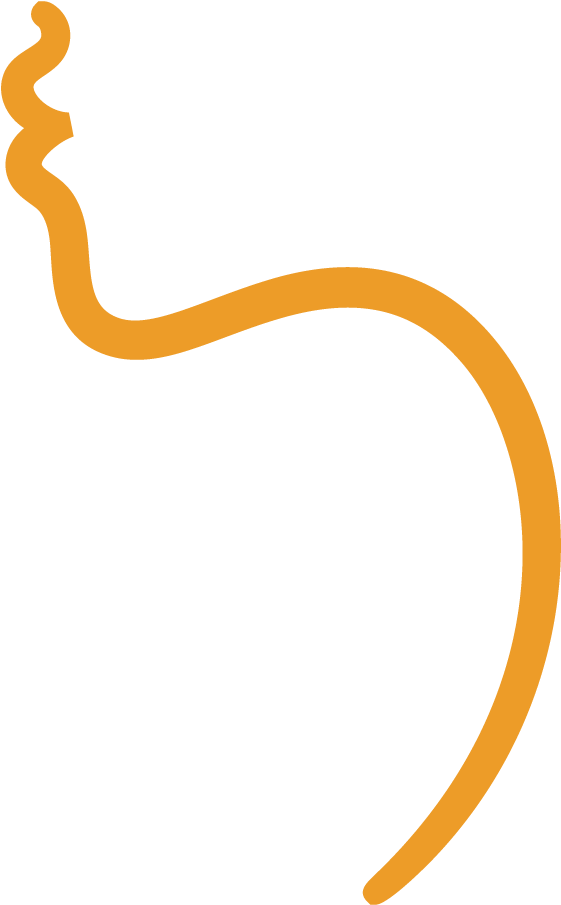 Clip Art - Png Download (1080x1080), Png Download