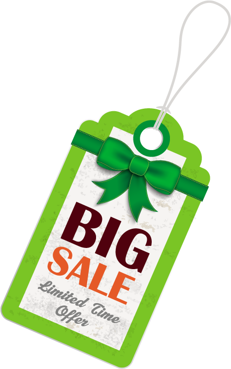 Green Big Sale Hang Tag - Big Sale Tag Png Clipart (480x760), Png Download