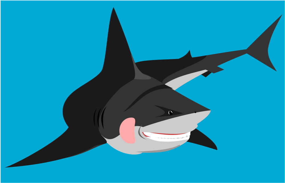 Bull Shark Great White Shark Computer Icons Shark Tooth - Shark Clipart (1061x750), Png Download