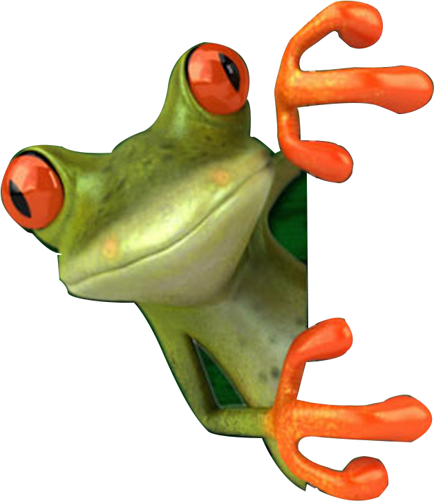Frog - Frog On Corner Clipart (628x725), Png Download