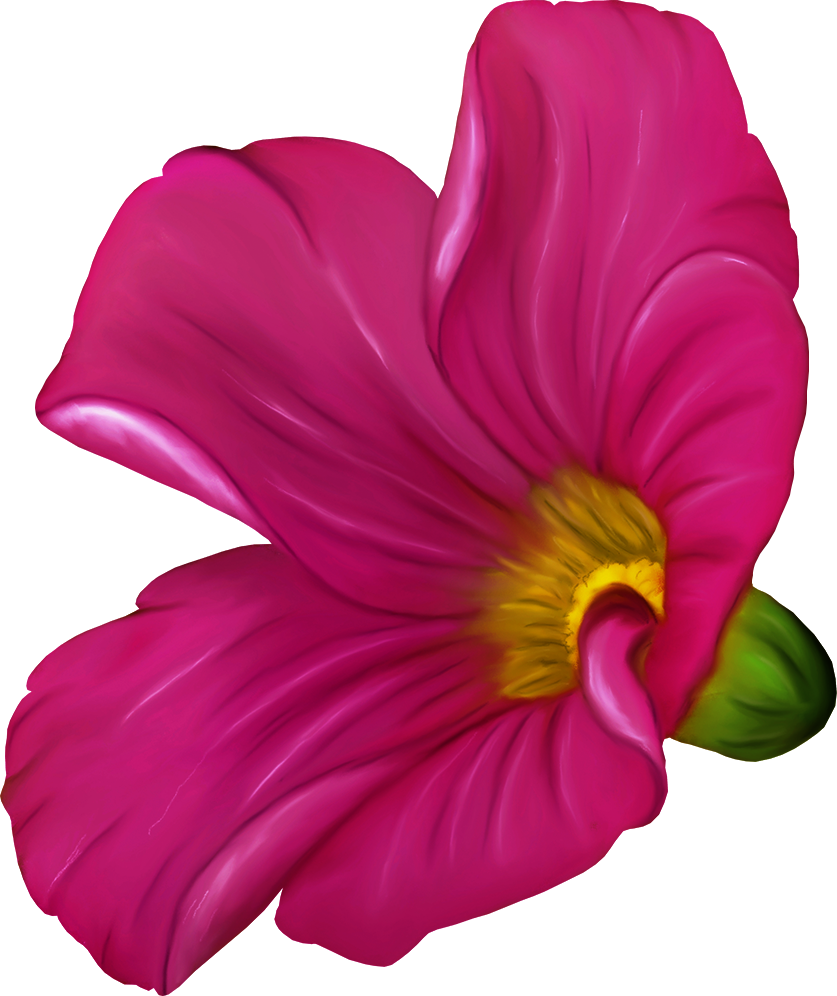 Clip Art - Png Download (837x996), Png Download