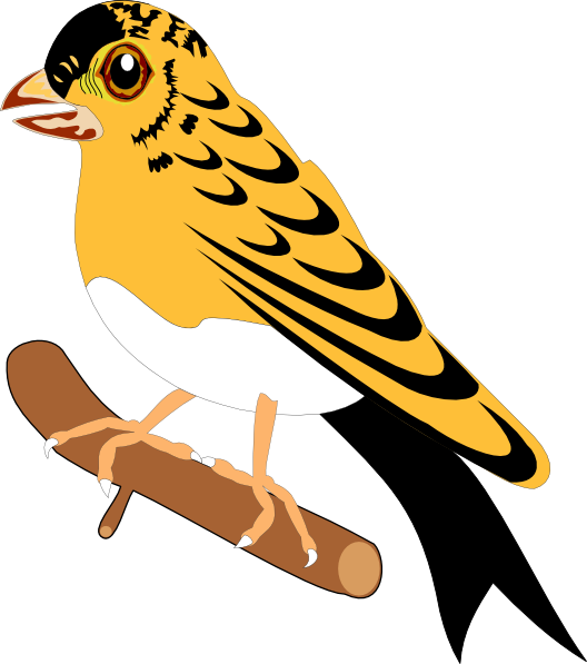 Bird Clipart (528x597), Png Download