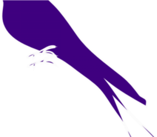 Finch Clipart Songbird - Mockingbird - Png Download (640x480), Png Download