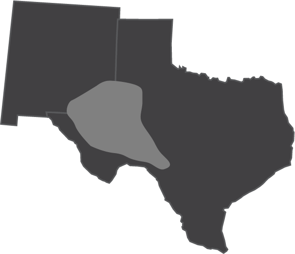 Permian Basin - Texas Clipart (606x521), Png Download
