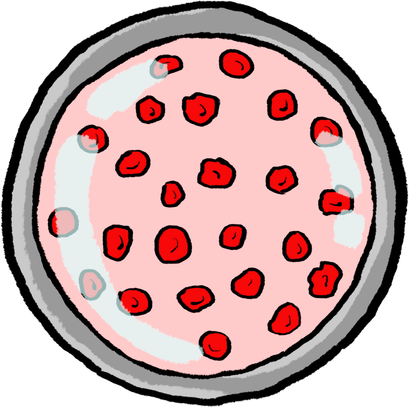Petitbernat Analisis - Circle Clipart (1000x1000), Png Download