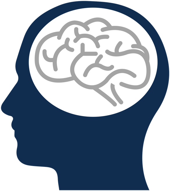 Brain Png Clipart (800x800), Png Download