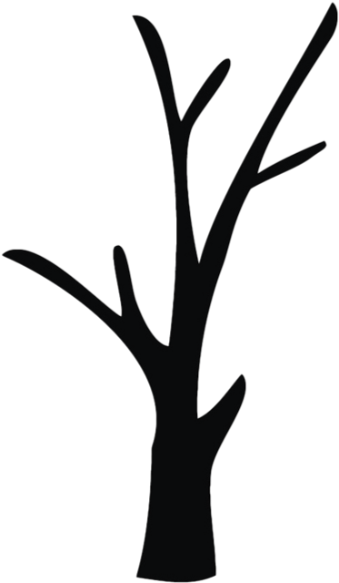 Yard Debris Removal - Tree Clipart (700x700), Png Download