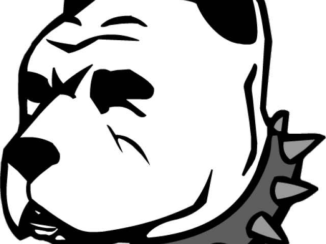 Black And White Pitbull Face Png Clipart (640x480), Png Download