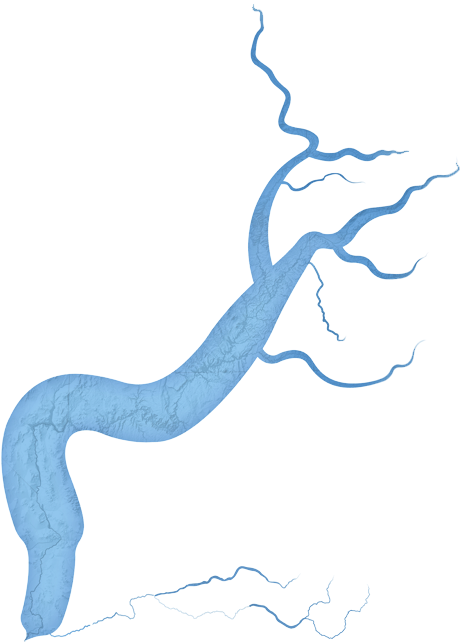 River Stream Png - Illustration Clipart (625x811), Png Download