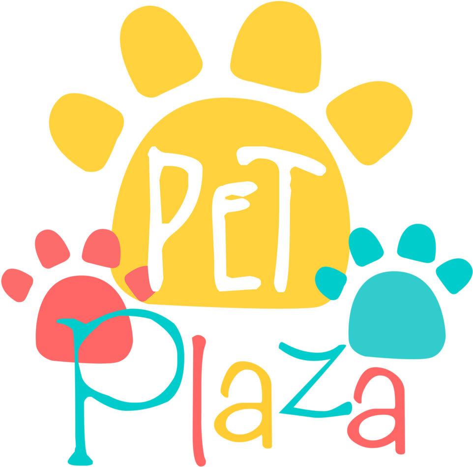 Clip Art - Png Download (1000x984), Png Download