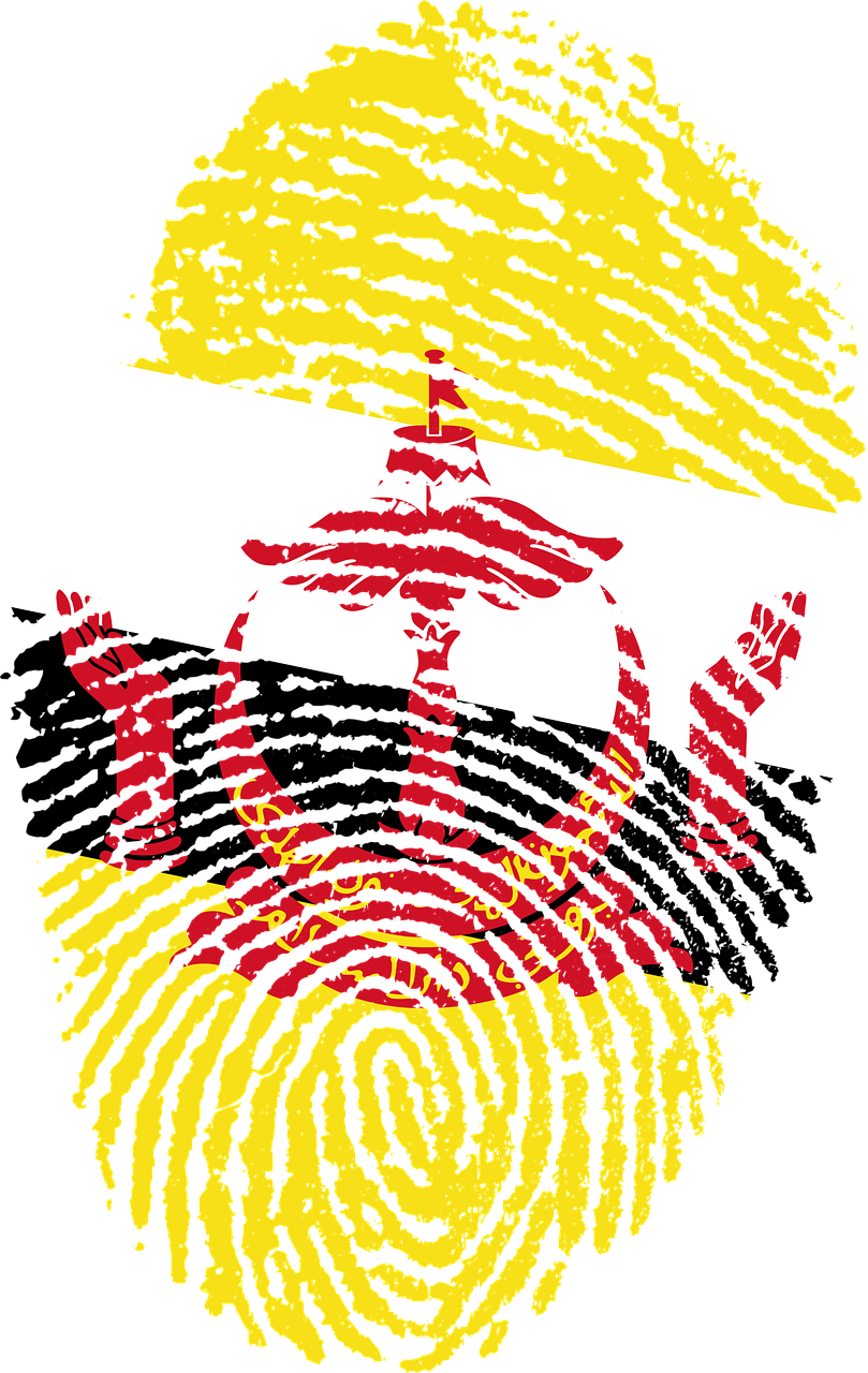 Brunei Flag Fingerprint Free Photo - Essay On Caa In English Clipart (809x1280), Png Download