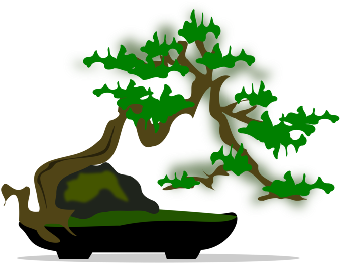 Plant,leaf,houseplant - Bonsai Png Clipart (750x750), Png Download