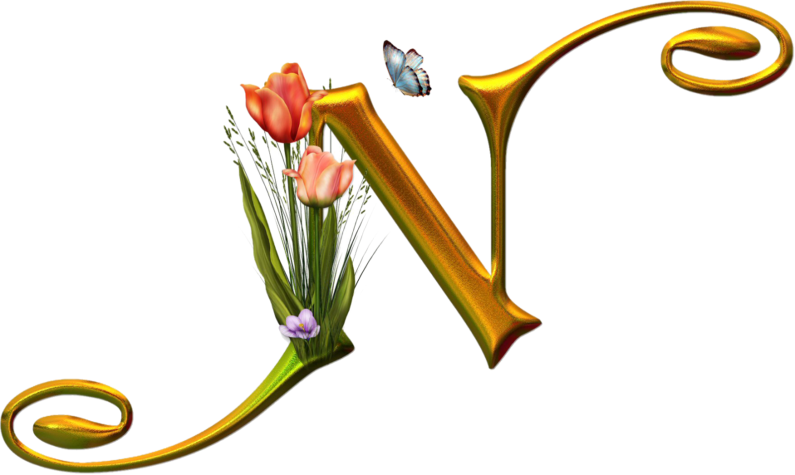 Design N Letter Png Clipart (1600x956), Png Download