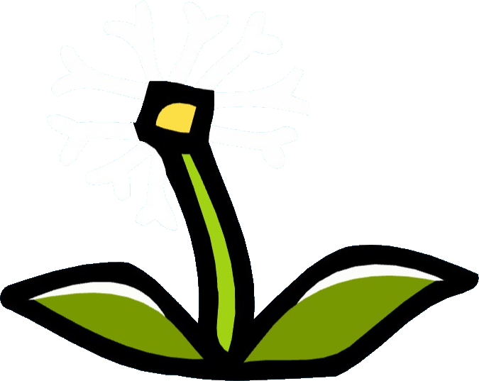 Transparent Dandelion Clip Art - Png Download (675x537), Png Download