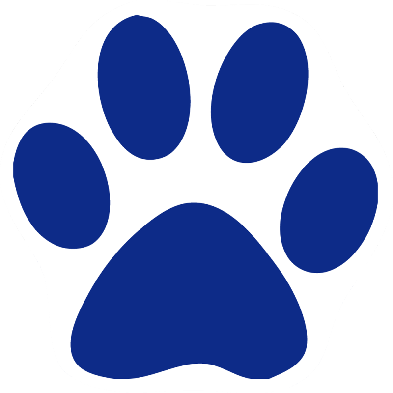 Custom Cat Paw Car Magnets - Parkview Elementary School Ripon Clipart (800x800), Png Download