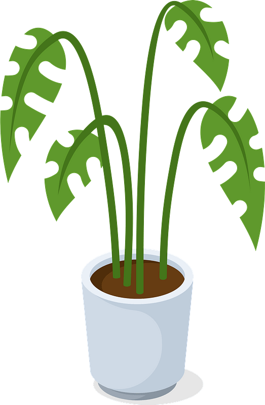 Office Plant Clipart - Flowerpot - Png Download (523x800), Png Download