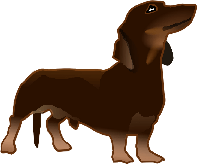 Dachshund Dog Clipart - Dachshund Clipart Transparent - Png Download (800x666), Png Download
