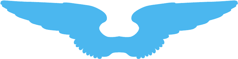 Angel Wings Clipart - Png Download (800x567), Png Download