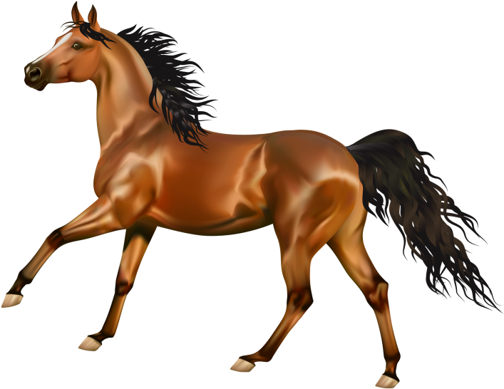 Horse Clipart Free Download Png Library Stock Horse Topo De Bolo Cavalo Png Transparent Png Full Size Clipart 5206454 Pinclipart