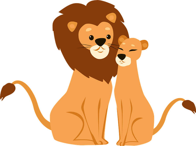 Lions In Love Clipart - Cartoon - Png Download (800x597), Png Download