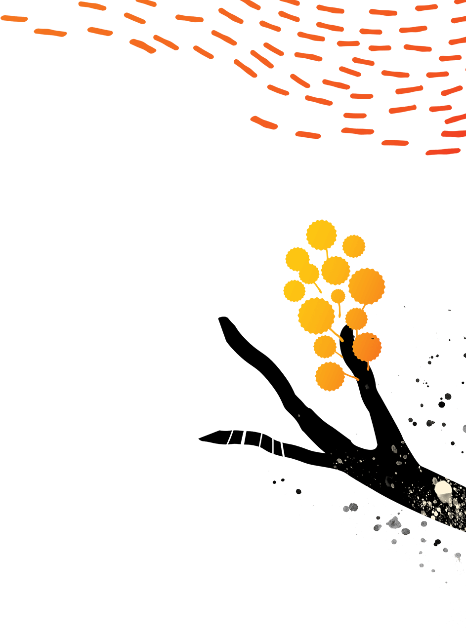 Fire Fight Australia Concert Clipart (943x1288), Png Download