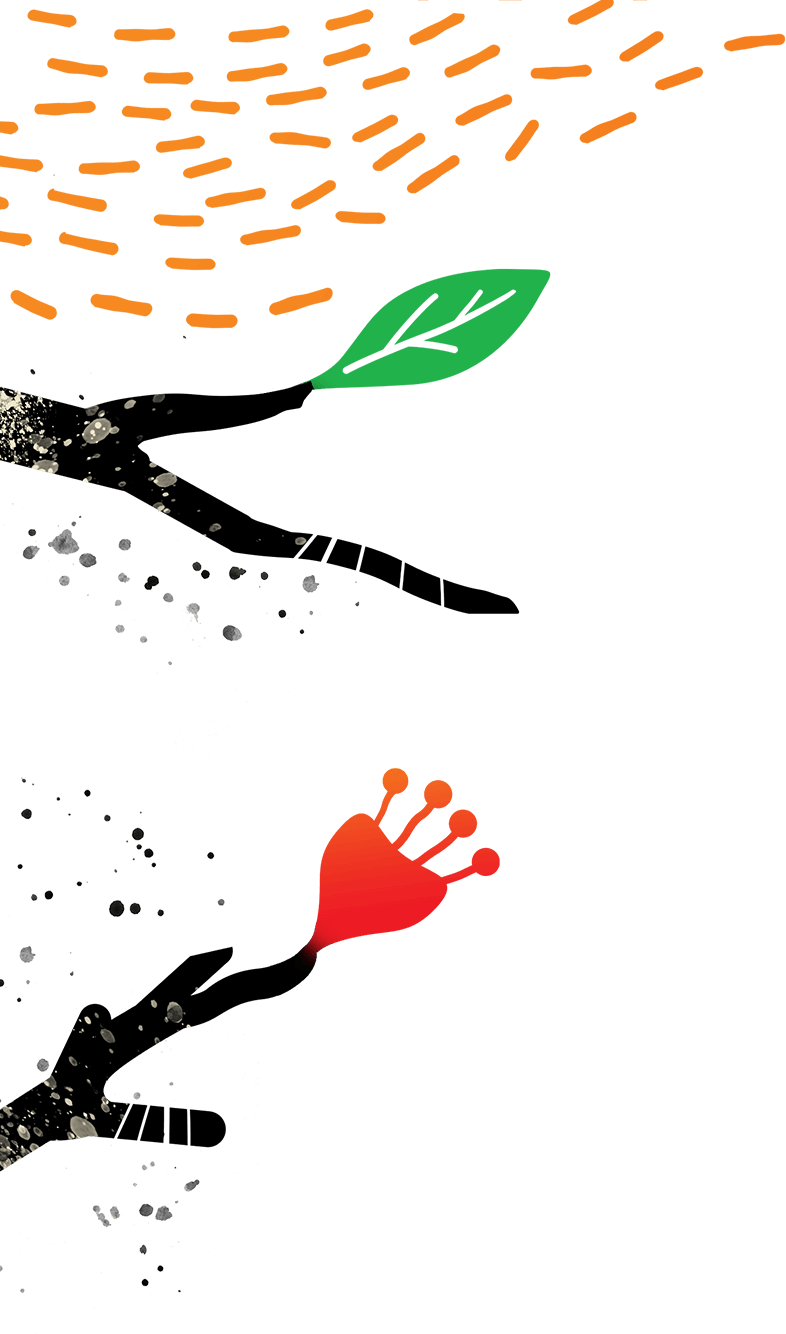 Fire Fight Australia Concert Clipart (786x1334), Png Download