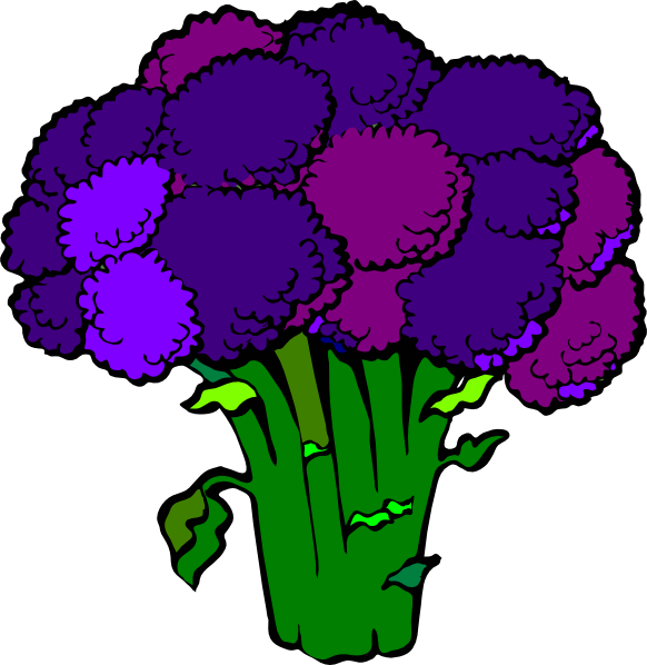 Broccoli Clipart Png Transparent Png (582x598), Png Download