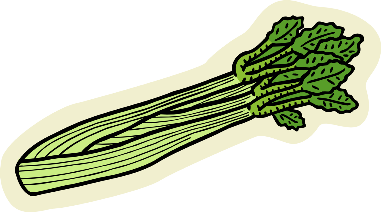 Vector Illustration Of Edible Vegetable Celery Stalk - Celery Clip Art - Png Download (1258x700), Png Download