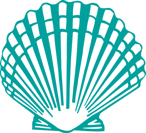 Scallop Shell Clip Art - Png Clipart Sea Shell Transparent Png (585x530), Png Download