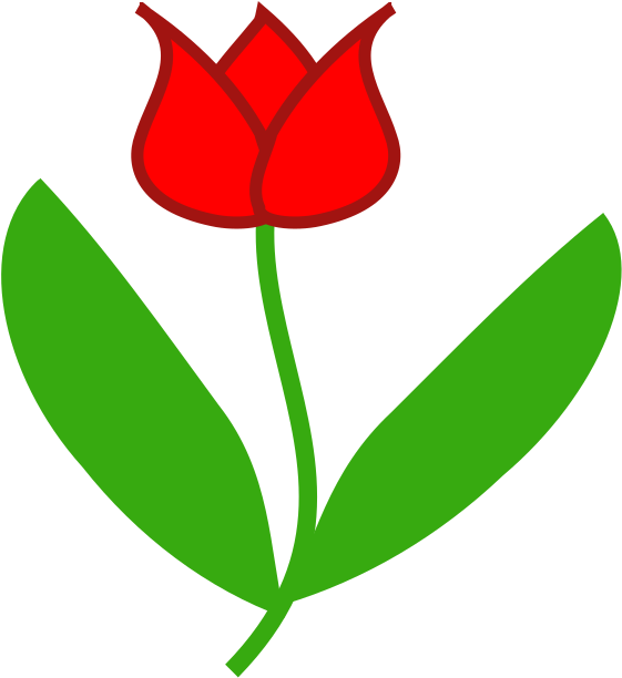 Sprenger's Tulip Clipart (666x666), Png Download