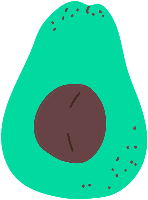Avocado Clipart - Png Download (626x800), Png Download
