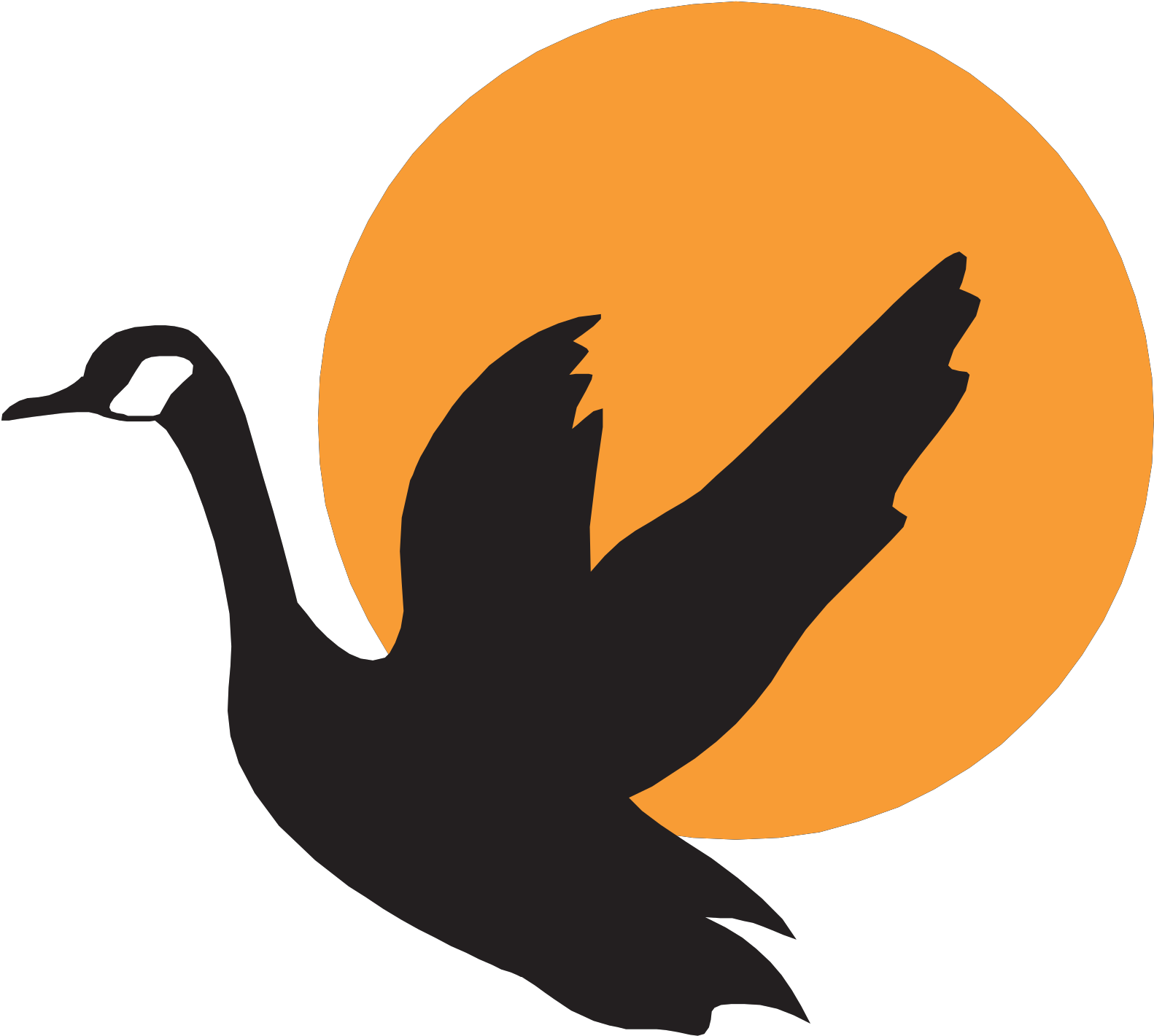 Flying Swan Vector Png Clipart (1600x1600), Png Download