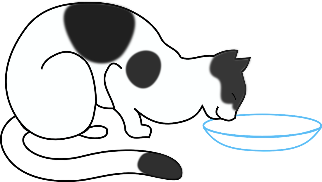 Transparent Bottled Water Clipart - Cat Drinking Milk Drawing - Png Download (1100x623), Png Download