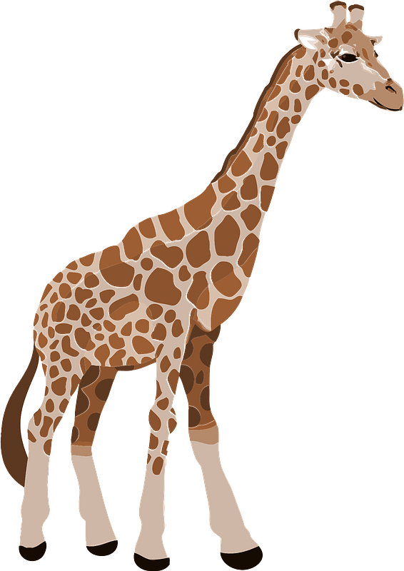 Baby Giraffe Clip Art PNG