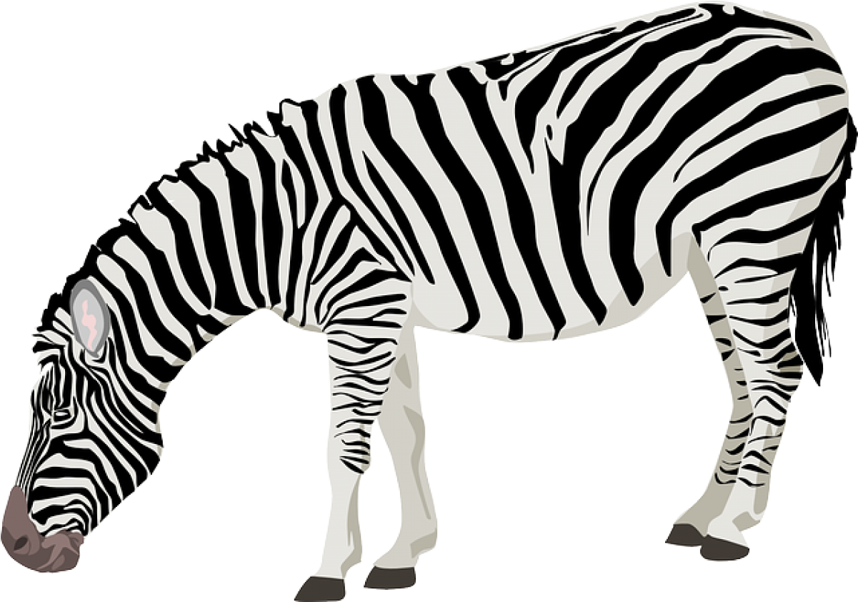 Grazing Zebra Png Icons - Zebra Png Clipart (600x600), Png Download