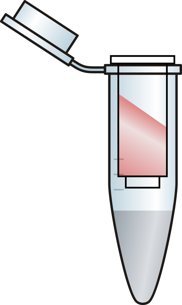Opened Eppendorf Tube With Filter Red Clipart Eppendorf Tube With