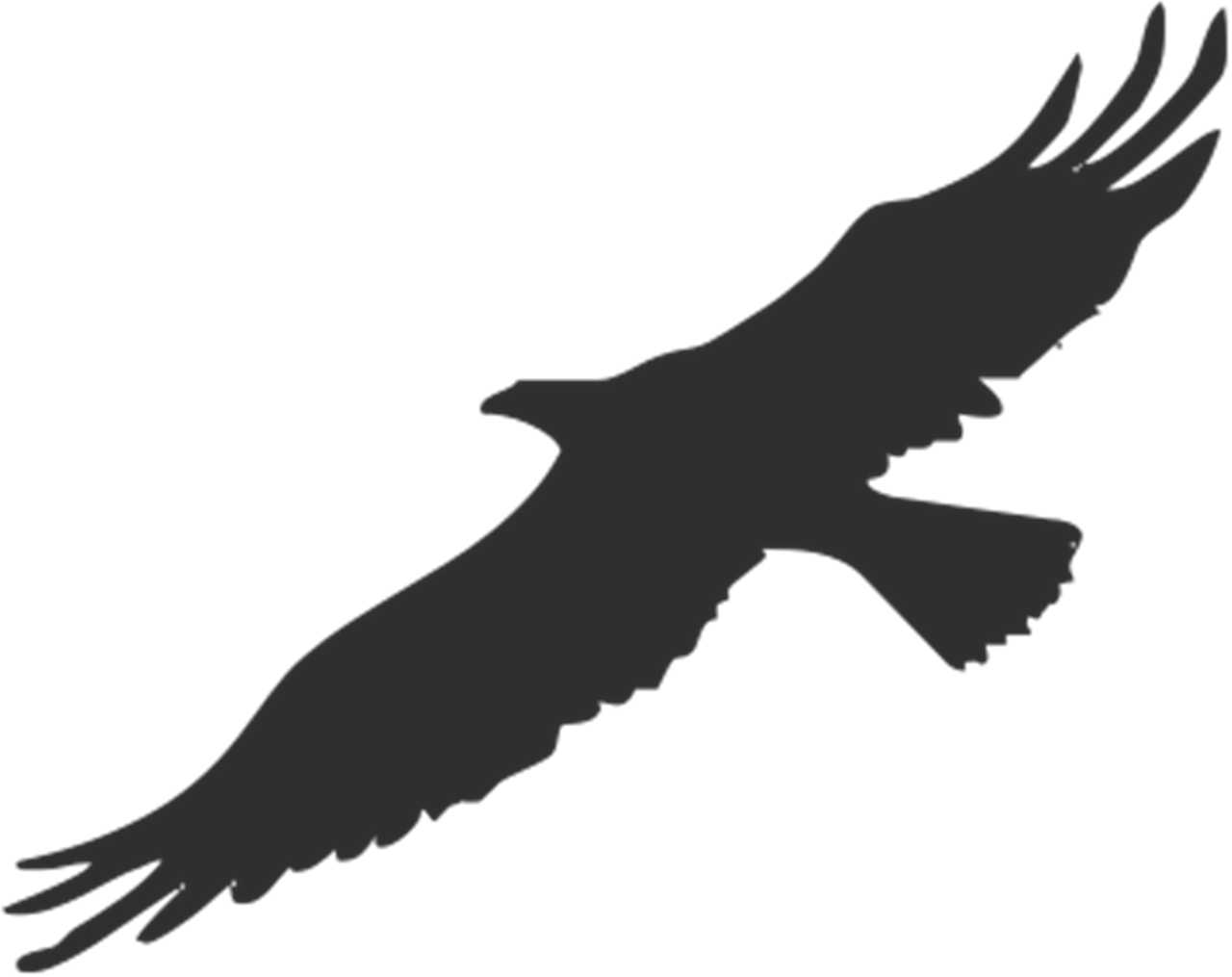 Bird Bald Eagle Silhouette Clip Art - Transparent Silhouette Eagle - Png Download (1280x1015), Png Download