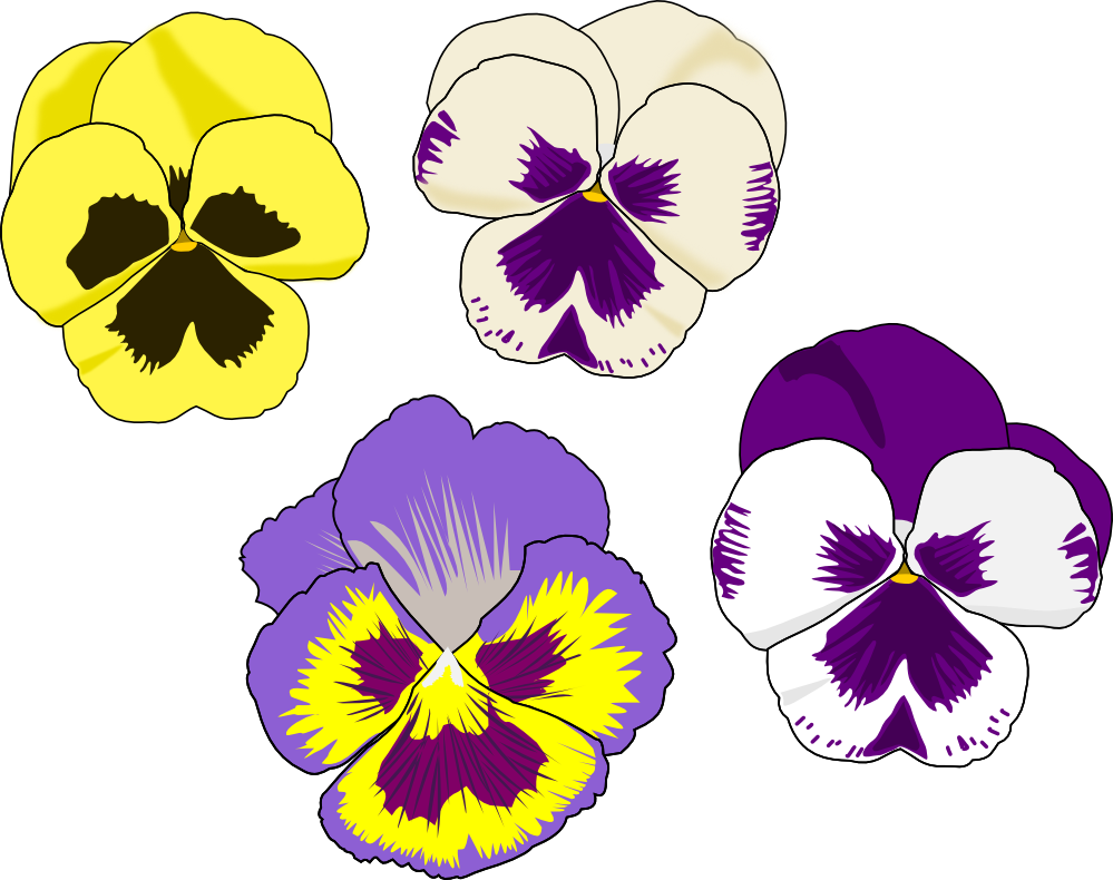 Kat"s Almost Purrfect Home - Pansy Clipart - Png Download (999x790), Png Download