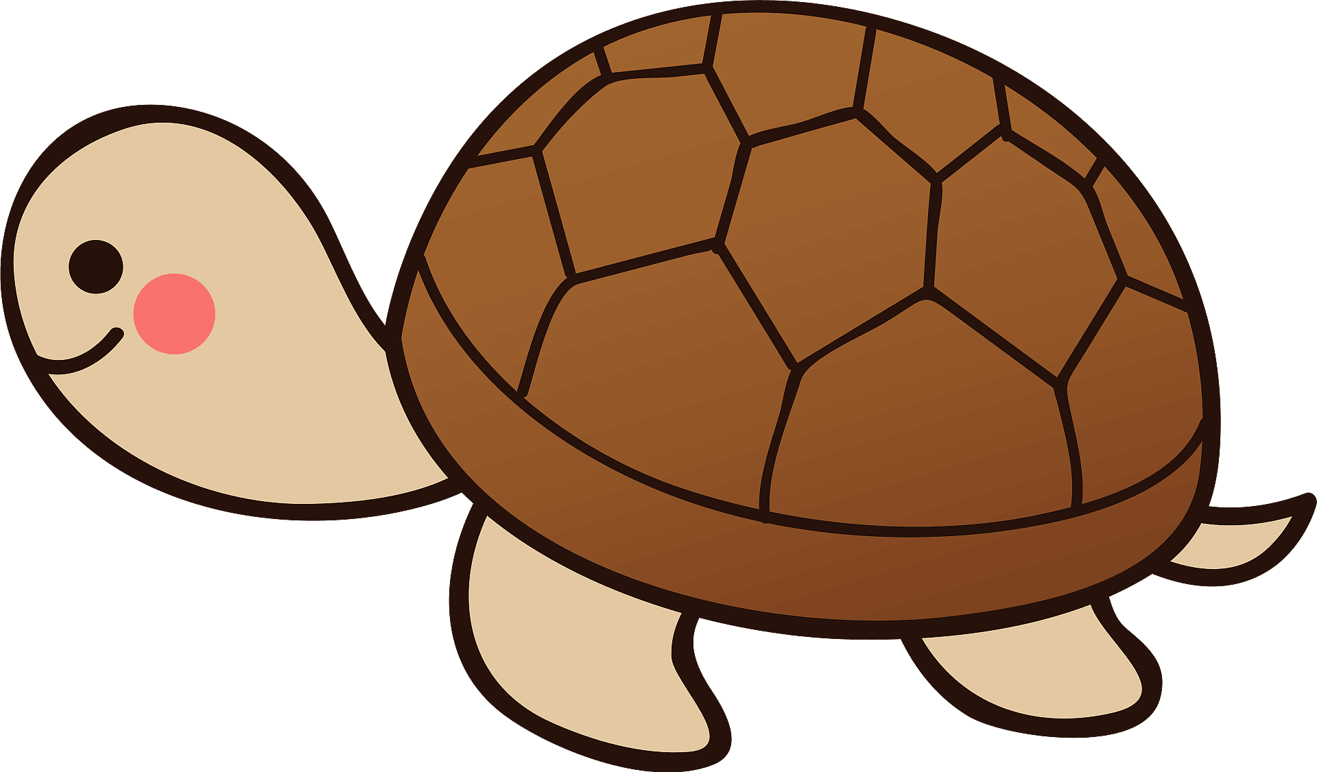Turtle Animal Clipart - Coloring Book - Png Download (800x469), Png Download