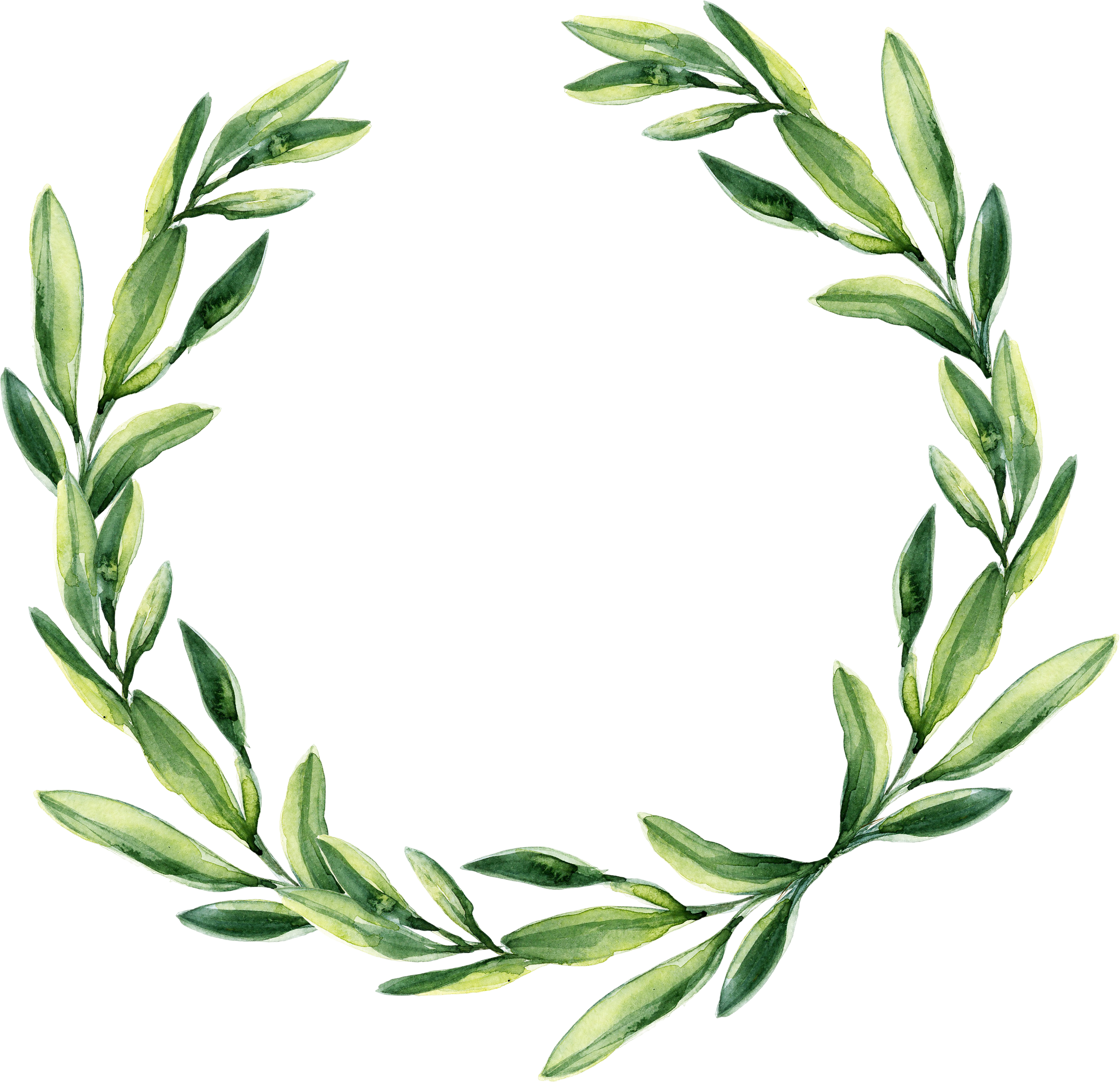 Green Wedding Png - Watercolor Leaves Wreath Clipart (3233x3125), Png Download